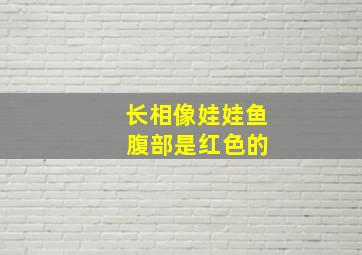 长相像娃娃鱼 腹部是红色的